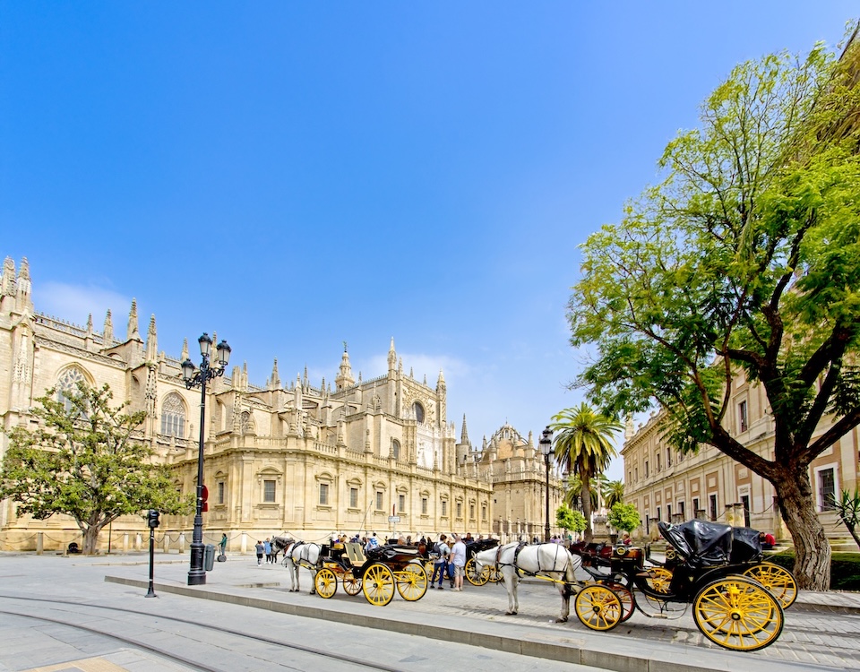 Elegant horse-drawn carriages in front of Seville Cathedral, Andalusia, Spain